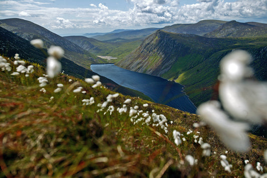 Soothing Stories: Go on a tranquil journey through beautiful landscapes