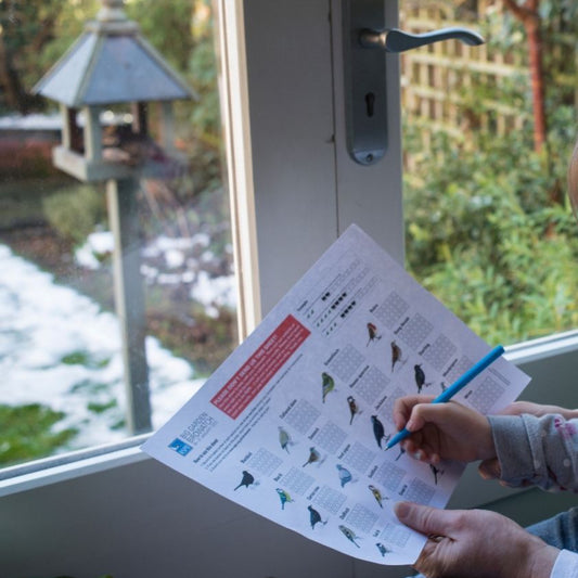 Take part in this year’s Big Garden Birdwatch