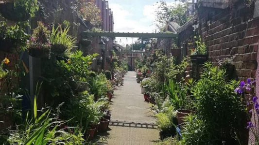 Our top picks: Alley Garden Open Day