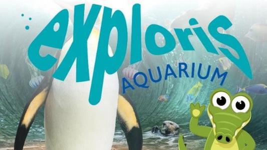 Exploris welcomes petting farm this Easter
