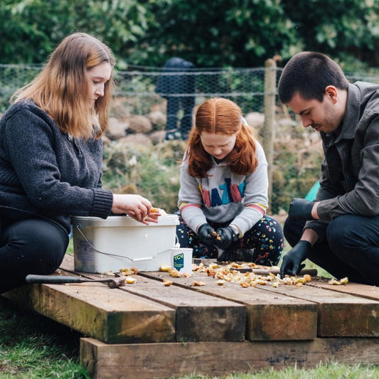 Celebrate Harvest at Ulster Folk Museum
