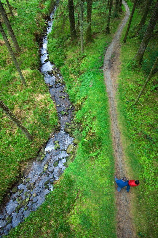 Walks for wellness off the beaten track to enjoy across Northern Ireland