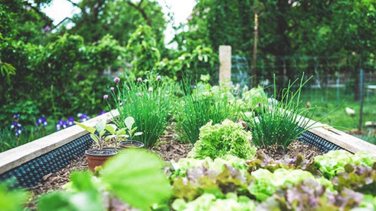 Our top picks: Imagining a future with greenspace for all