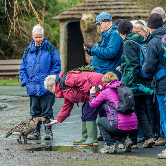 Connect with nature and restore your well-being at Castle Espie