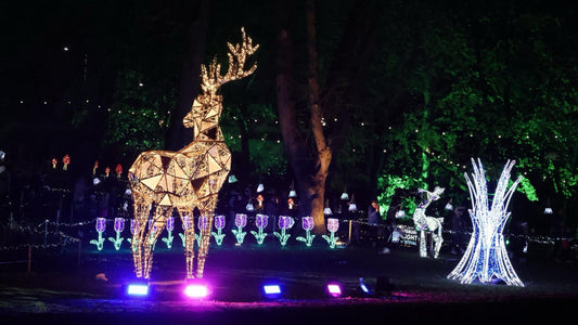 More things to do in NI 9-15 December