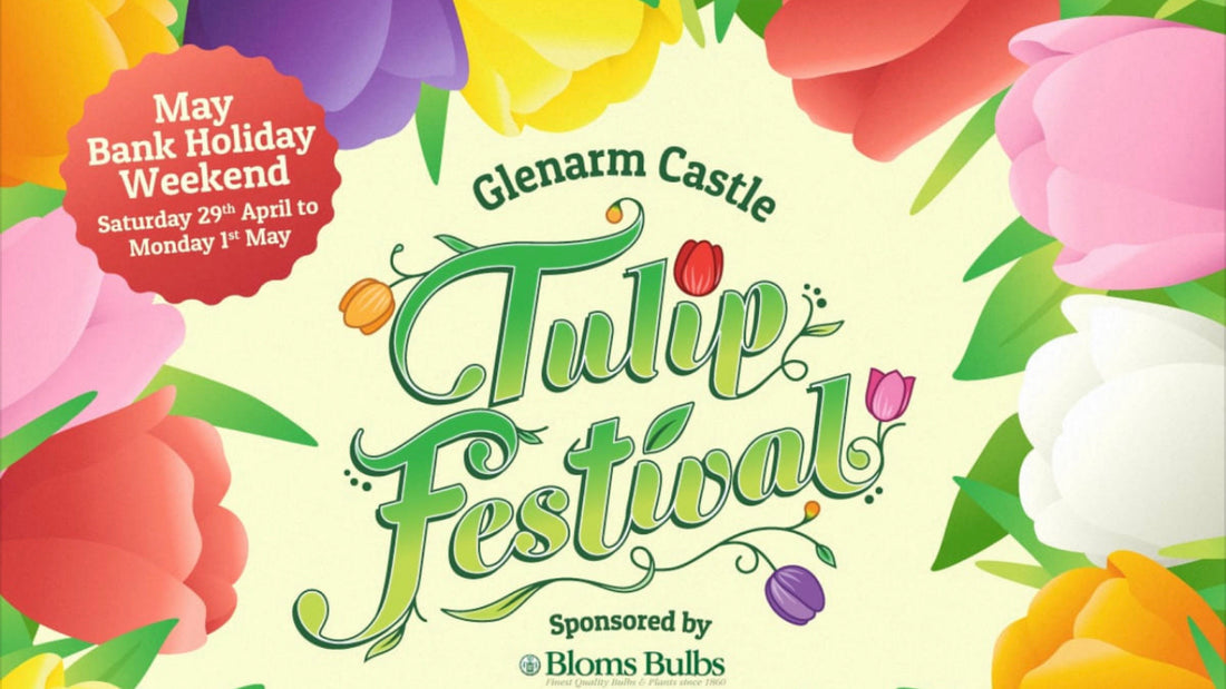 Glenarm Tulip Festival returns for May Day weekend