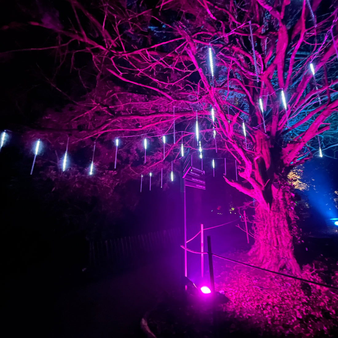 Hillsborough Castle and Gardens light up for Christmas