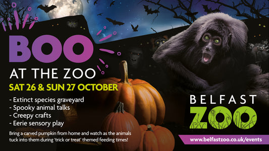 Boo at the Zoo