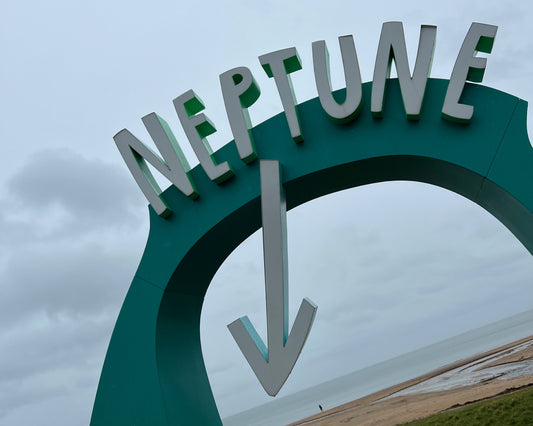Swim by Neptune