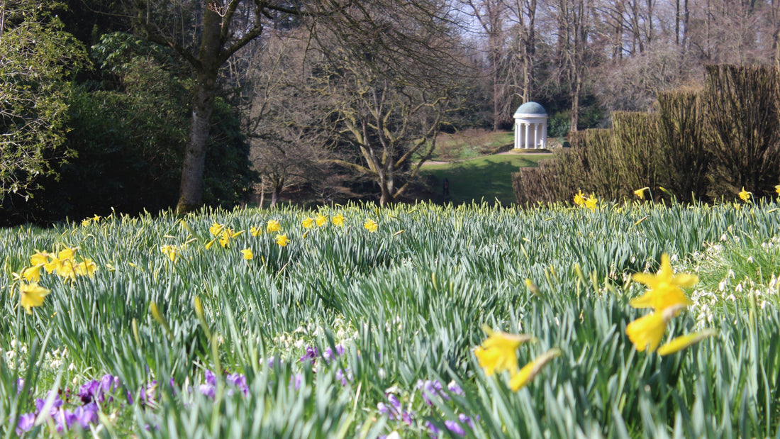 Spring Spectacular at Hillsborough Castle and Gardens