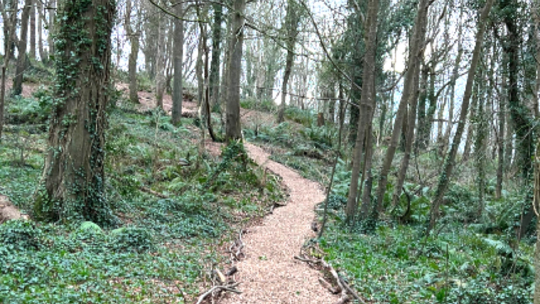 Join a National Trust Easter trail