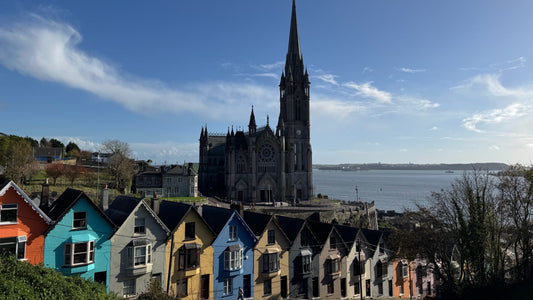 An Autumn Cruise from Belfast