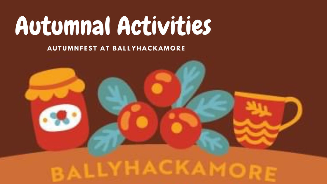 Autumnal Activities: Autummfest at Ballyhackamore
