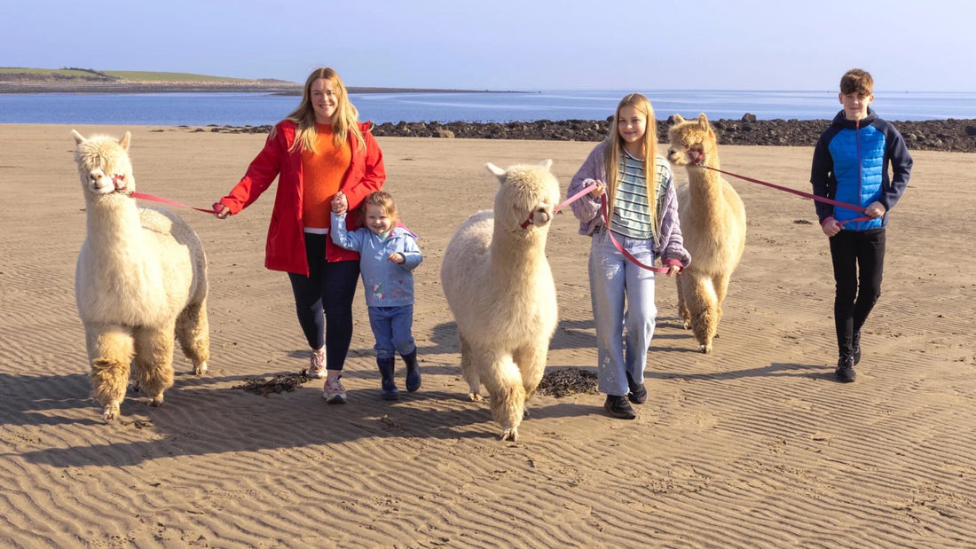 Fun ideas for a day out in Northern Ireland