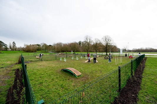 Dog park at Ormeau Park
