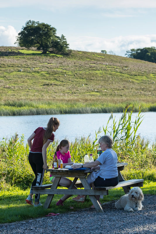 Summer picnics with the National Trust in NI