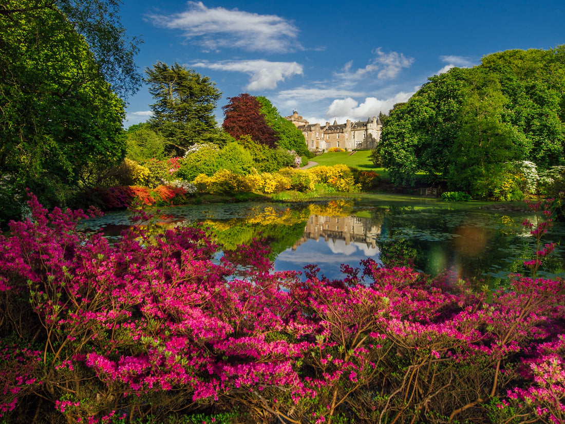 Inside Glenapp Castle: A Five-Star Scottish Escape Built for Slowing Down