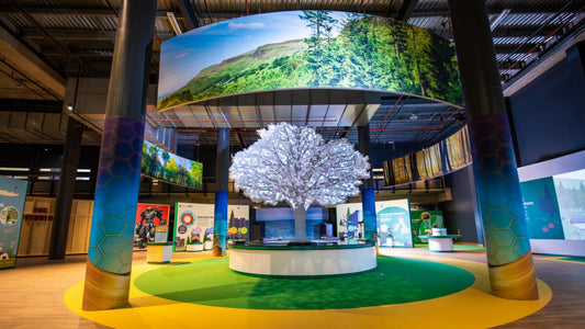 10 things to do in NI 17 - 23 November