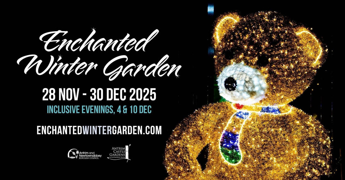 Magic in the Air: Enchanted Winter Garden