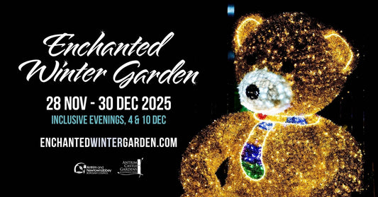 Magic in the Air: Enchanted Winter Garden