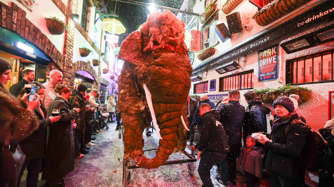 Sheila the Elephant’s festive comeback