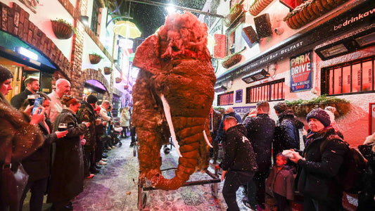 Sheila the Elephant’s festive comeback