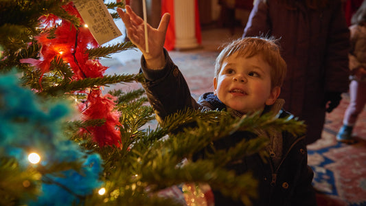 The best Christmas days out with the National Trust in Northern Ireland