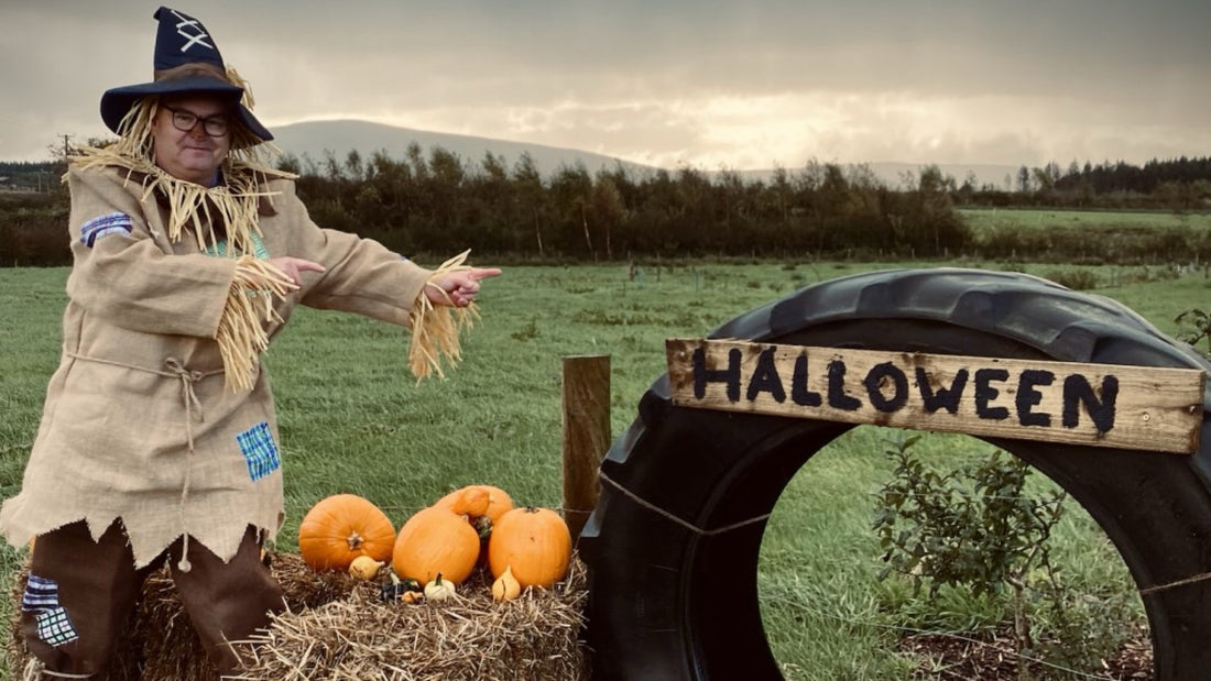 Magical Delights, Pumpkin Patches and Halloween Fun