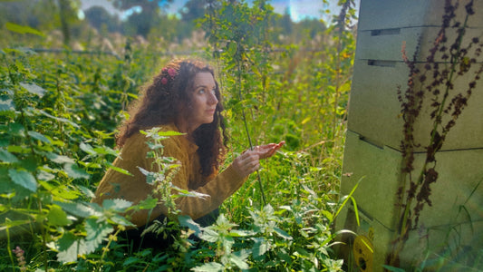 Review: Queen of the Bees