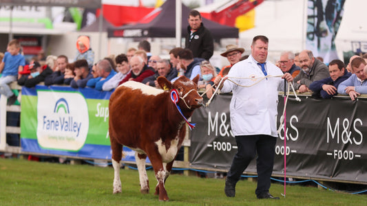 10 exciting things to do in Northern Ireland, 8 – 14 May