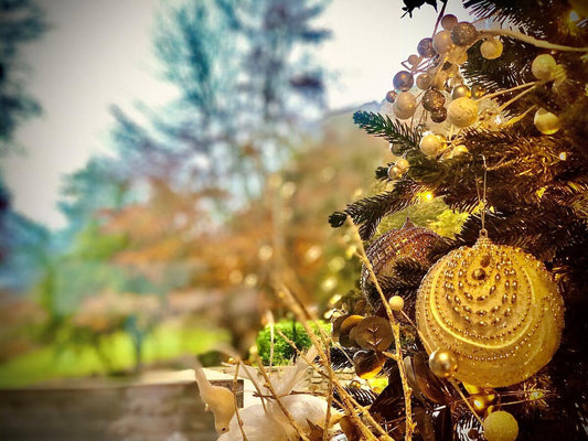 Escape to a Sparkling Northern Ireland