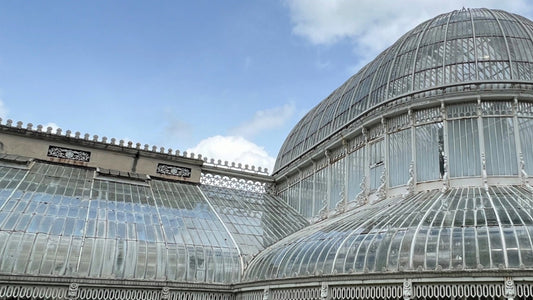 Three glasshouses. One Irish Ironmaster