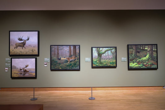 Art display by Julian Friers PPRUA